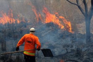 Incêndios florestais no DF entram em alerta após mais de 50 dias sem chuva