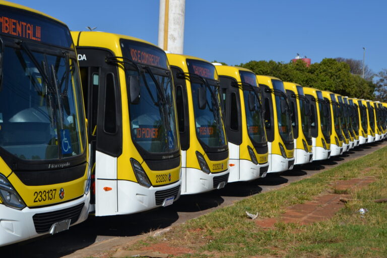 Celina se dispõe a assumir metade do custo de solução para transporte do Entorno
