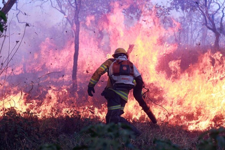 Bombeiro atua no combate a incêndio em área de vegetação